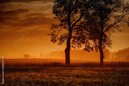 GOLDEN AUTUMN LANDSCAPE - A sunny and misty morning over the fields photo