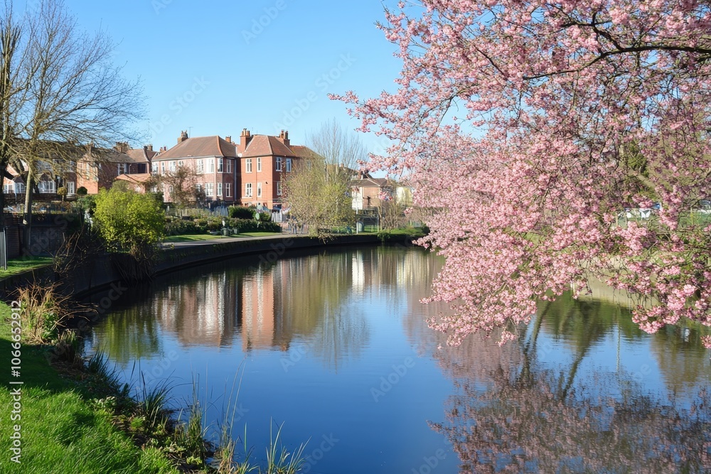 Obraz premium Springtime by the Water.