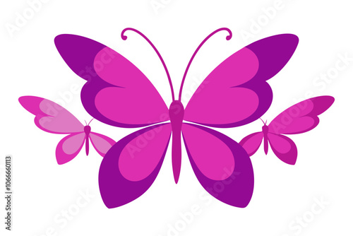 Butterflies | isolated vector illustration on white background