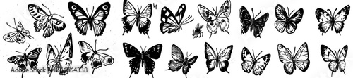 Illustration of black and white butterflies. Modern vintage classic illustration.