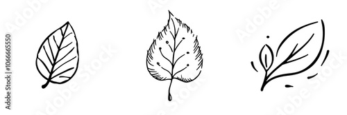 Icon illustration of leaf with single line doodle concept