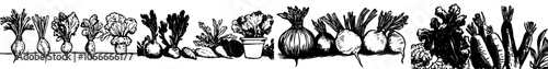 Sketches of vegetables including carrots, tomatoes, peppers, onions, cabbages, radishes, corns, cauliflowers, eggplants, potatoes, beets, kohlrabi, and seaweed.