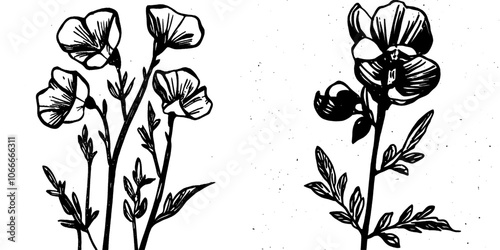The background has a seamless flower pattern with a sweet pea flower and leaf, a blue line drawing illustration.