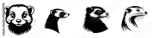 Isolated ferret head illustration on transparent background