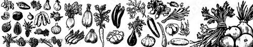 Modern vegetables. Vintage doodle illustration. Sketch for cafe menus and labels. Harvesting. Hand-drawn set of vegetables and greenery.