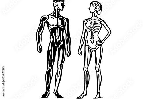 Isolated monochrome male and female standing at full height with outline figures. Human body silhouette, front view contour.