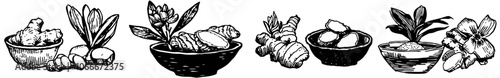 Stylish Collection of Turmeric Modern Illustrations. Root and Powder Bowl Hand Drawn in Engraving Style. Curcuma Spice Vegan Drawings Isolated.