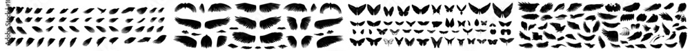 Set of modern wings icons for web design with a transparent background Set of modern wings icons for web design with a transparent background