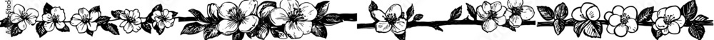 Fototapeta premium Apple blossom branch outline illustration in black and white.