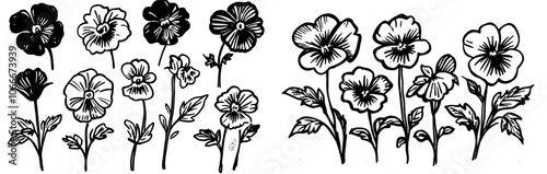 Hand drawn black and white pansies flowers