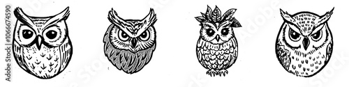 On a white background, an owl head logo illustration is shown photo