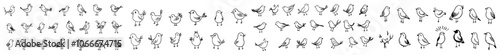 Hand drawn bird doodles set. Hand drawn bird doodles with black and white.