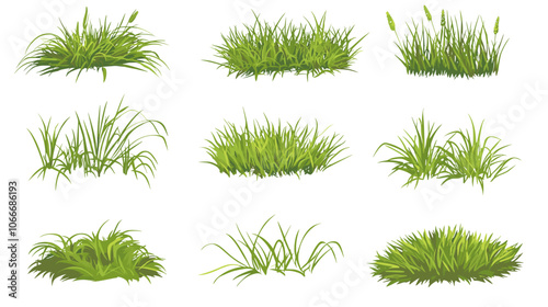 Set of vector grass illustrations on a white background Green flat meadows on white background Green turf vector set. Lawn field pasture grassland blades of grass Eco element foliage, stylized ecology