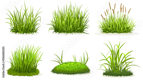 Set of vector grass illustrations on a white background Green flat meadows on white background Green turf vector set. Lawn field pasture grassland blades of grass Eco element foliage, stylized ecology