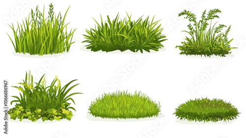 Set of vector grass illustrations on a white background Green flat meadows on white background Green turf vector set. Lawn field pasture grassland blades of grass Eco element foliage, stylized ecology