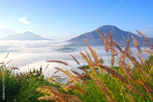 Green grass with flowers and fog in the mountains. Mount Batur landscape view in the morning with bright sunlight from Desa Pinggan or Pinggan Village, Kintamani, Bali - Indonesia. photo