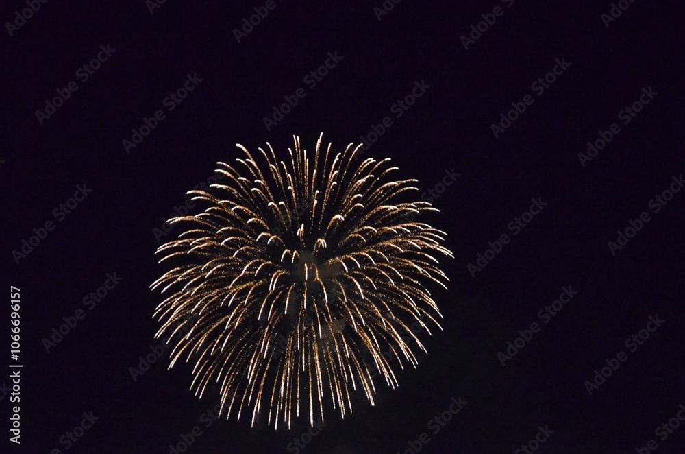 fireworks in the japan's sky