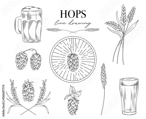 Beer hops branches, wheat spikes, glass of beer, pre made logo for beer shop or brewery, line drawing vector illustration