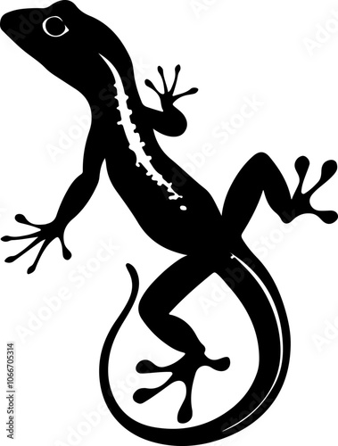 silhouette of a lizard in black and white