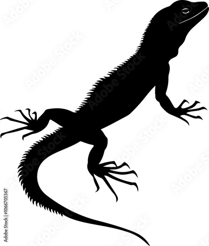 silhouette of a lizard in black and white