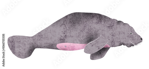 Manatee. Latin name Trichechus, textured illustration