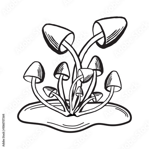 Honey fungus mushrooms sketch. Autumn forest harvest composition. Vector illustration hand drawn isolated. Ingredient for cooking raw food. Black and white fall arrangement. Clipart for print, card.