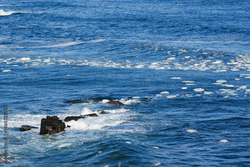 Fototapeta premium 北海道 根室の花咲岬と流氷