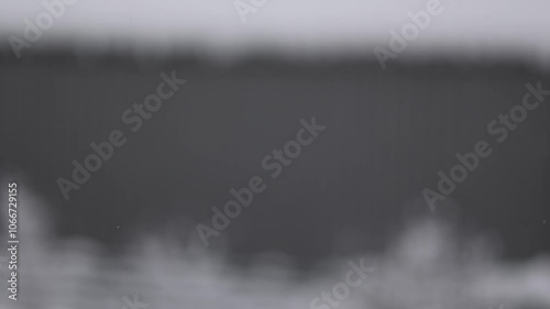 Snow falling gently, blurring the background for a peaceful winter effect. photo