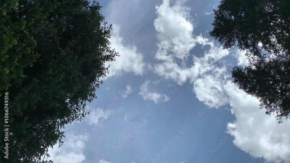 clouds in the sky clouds in the sky