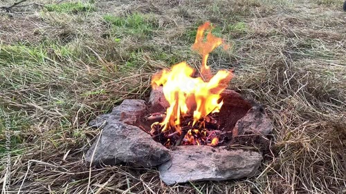 campfire in the forest