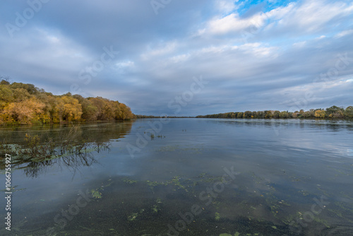 A body of water with trees in the background