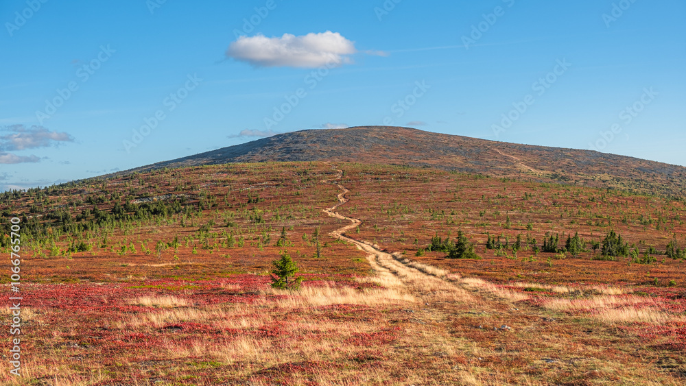 Obraz premium Winding dirt road stretches through a vibrant autumn landscape, leading the eye towards a distant mountain peak under a serene blue sky dotted with a solitary cloud