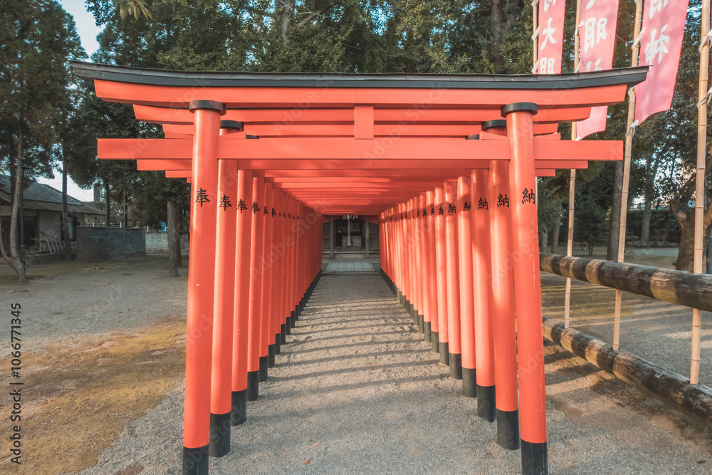 Tunnel of Torri gate in Japanese shrine Tunnel of Torri gate in Japanese shrine