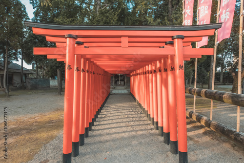 Tunnel of Torri gate in Japanese shrine