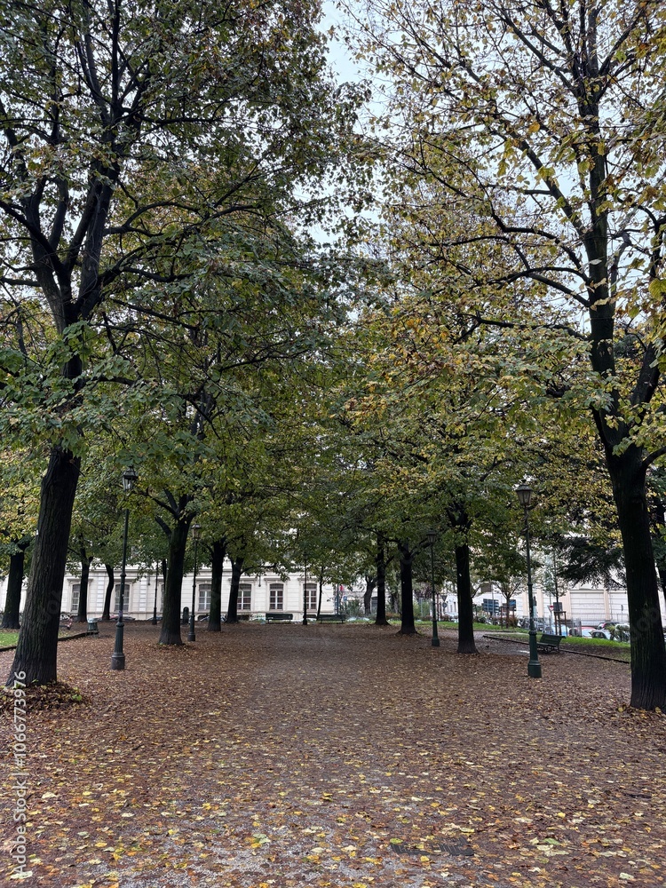 Naklejka premium gardens of a park with large trees