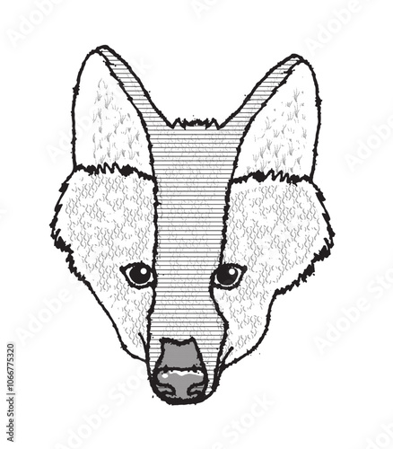 Maned black and white Wolf Head, Chrysocyon brachyurus, is a typical animal of the Cerrado and the largest canid in South America. Transparent background.