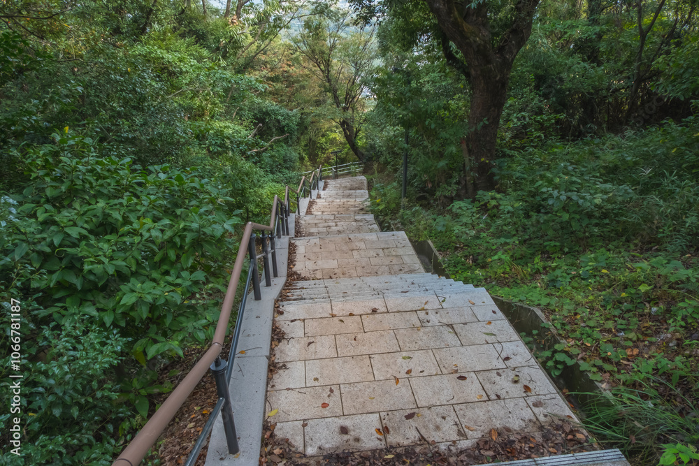 Stone step or stair, Walkway in the green forest Stone step or stair, Walkway in the green forest