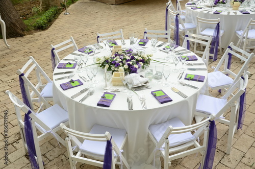 Elegant Outdoor Wedding Ceremony with Purple Hydrangeas and White Chairs