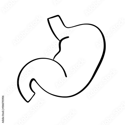 Human Organs and Anatomy Related Objects and Elements. Hand Drawn Vector Doodle Illustration