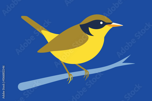 female common yellow throat Geothlypis trichas vector illustration