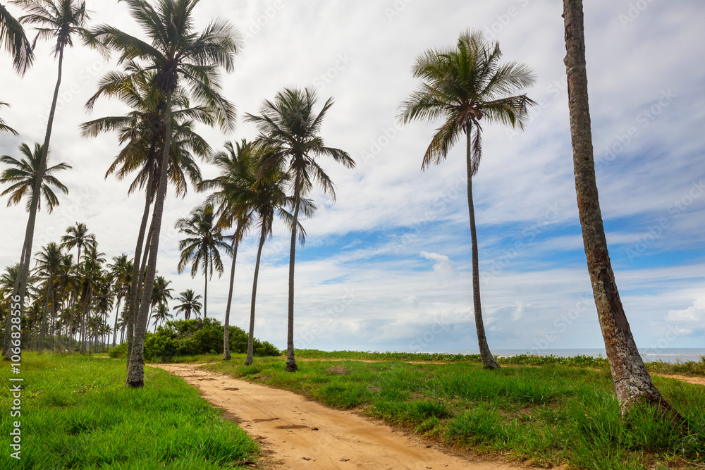 Obraz premium Tropical beach