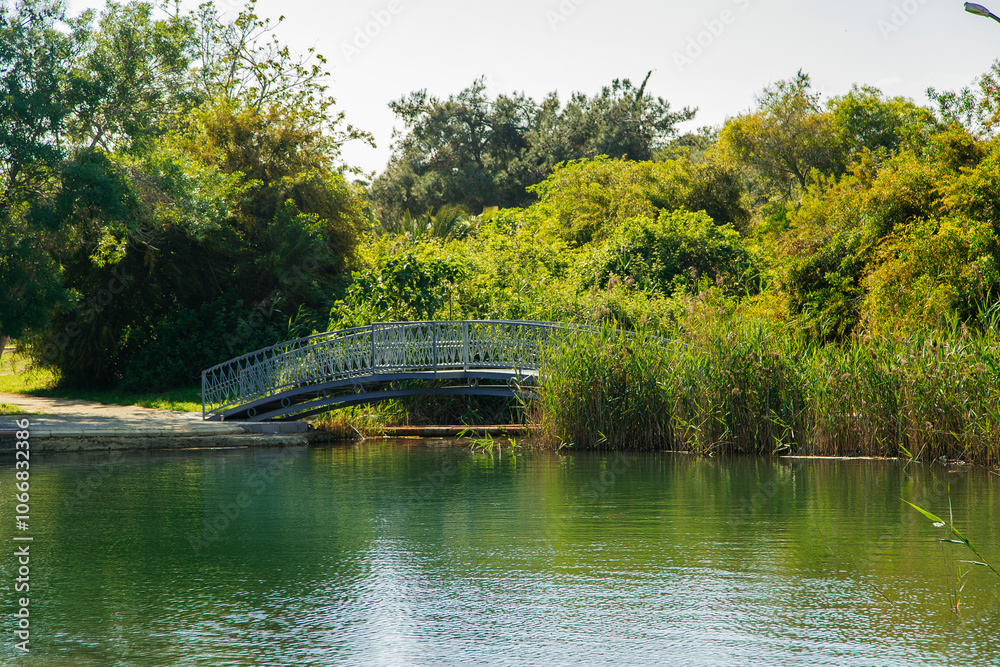Fototapeta premium the river in the park