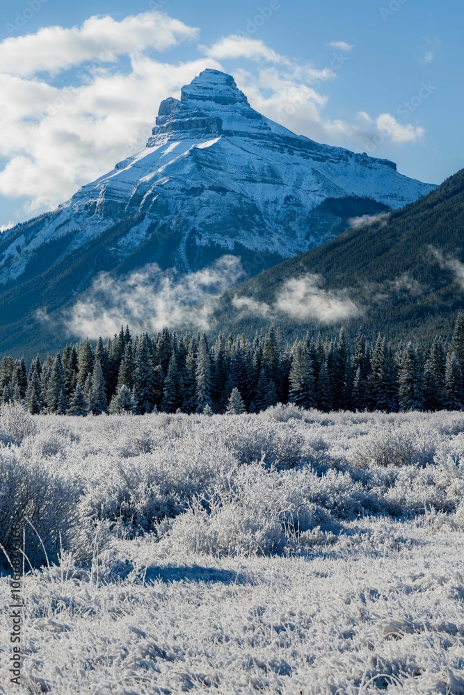 Snowy Mountain and Frosty Trees in Winter Snowy Mountain and Frosty Trees in Winter