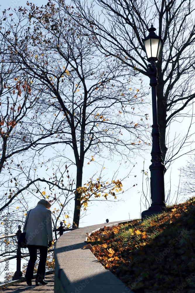 walking in the park, kiev, kyiv, ukraine, autumn, park, walking, trees, tree, walk, path, woman, fall, nature, leaves, outdoors, outdoor walking in the park, kiev, kyiv, ukraine, autumn, park, walking, trees, tree, walk, path, woman, fall, nature, leaves, outdoors, outdoor