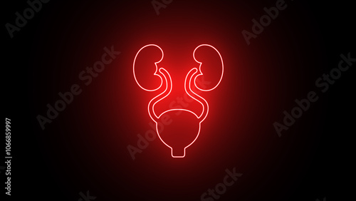 Urinary icon. kidney-line symbol. Urinary system part symbol. kidney line icon. Elements of Medicine. photo