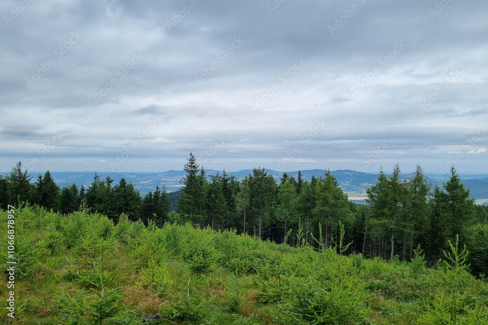 Obraz premium Scenic Mountain View with Lush Greenery and Forest Horizon on a Cloudy Day