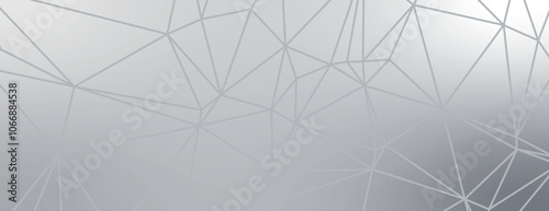 Geometric background with a silver background featuring polygonal lines. The background has a sleek, metallic silver texture. Modern abstract geometric minimal background vector