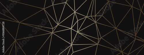 Geometric background with black background and gold lines. The background features a modern, sleek style with a black and gold color scheme. Modern abstract geometric minimal background vector