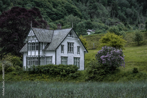 Old abandoned white wooden house in the green nature