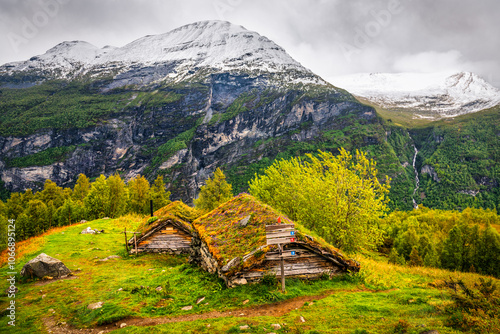 Typical Norwegian old wooden cabins with grass roofs in the mountains photo